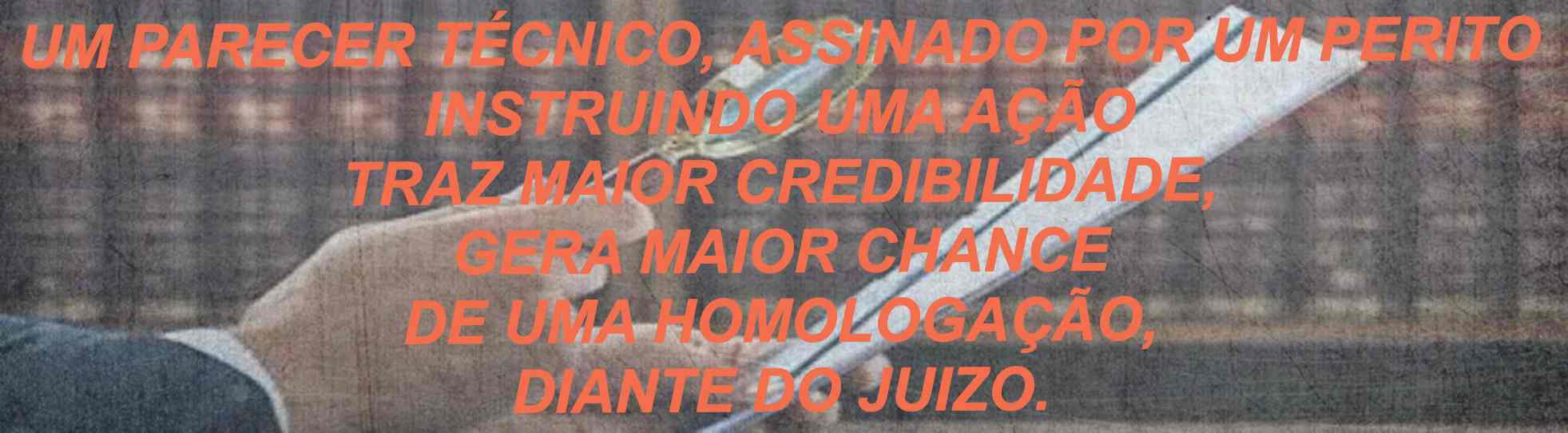 parecer tecnico 8textura.jpg